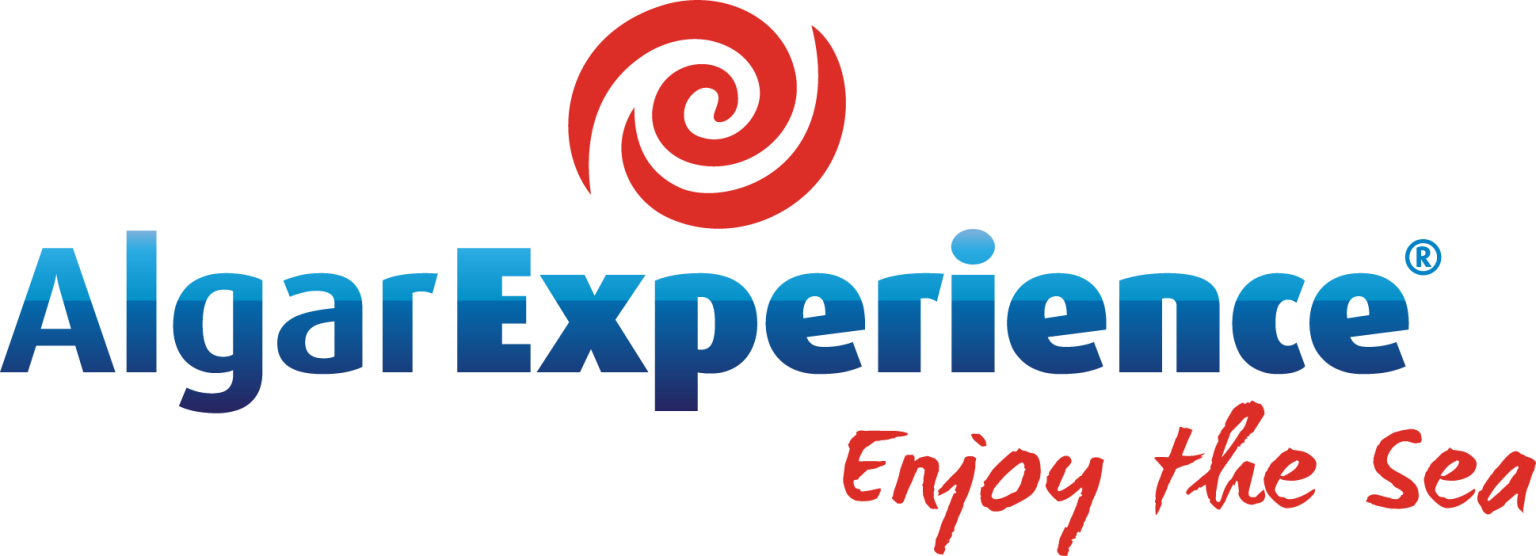 Partner 20