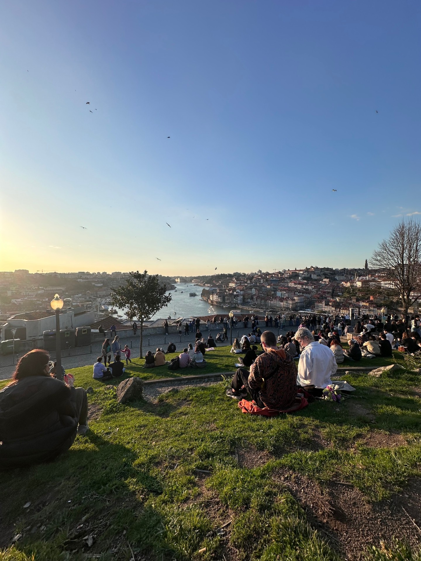 Porto 1